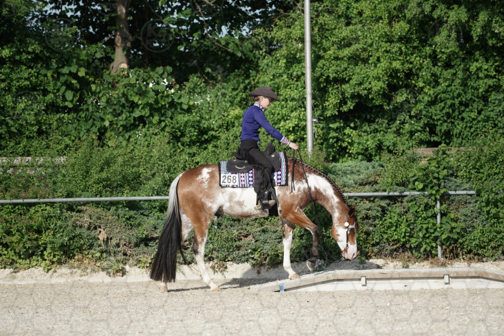 s_APF07020.jpg